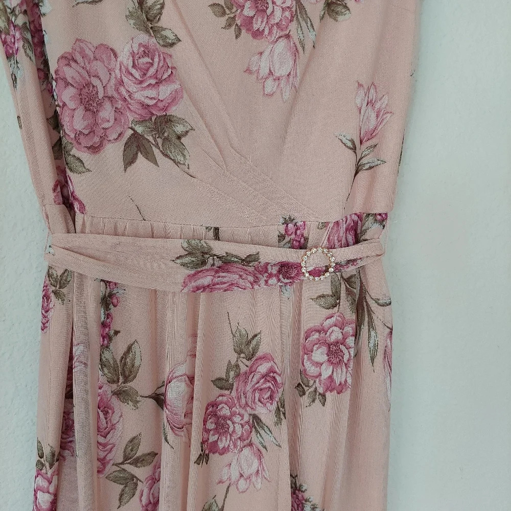ALEXA B Nites Sheer Lined Pink Floral Maxi Dress Size‎ 4P - Picture 5 of 9